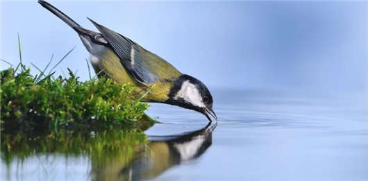 移民<a style='color:#268bd1;cursor:pointer;' href='/mshh.html'>德國生活</a>，那么你一定要適應(yīng)“飲用水”食物