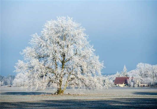德國簽證留學(xué)攻略：十大醫(yī)學(xué)學(xué)院（上）