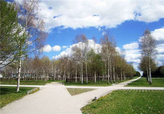 德國市場高技術人才緊缺，政策隨之發生變化