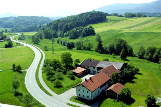 周末發(fā)生電動(dòng)滑板車事故后再次受傷