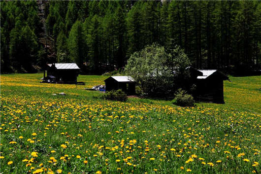 科隆前校長發表講話（上）