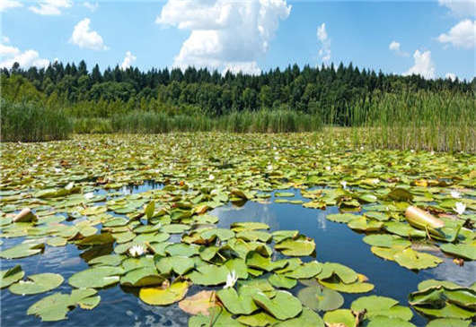 德國生態之保護區介紹 德國生態之保護區介紹