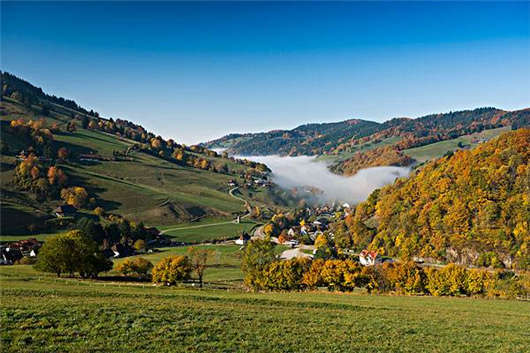 德國綠色經(jīng)濟(jì) 德國綠色經(jīng)濟(jì)