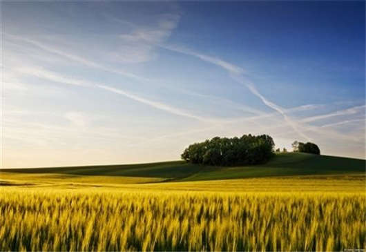 柏林的房屋建筑數(shù)量正在上升,房產(chǎn)投資刻不容緩 柏林的房屋建筑數(shù)量正在上升,房產(chǎn)投資刻不容緩