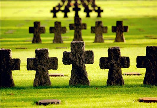 如何退還您的德國國家退休保險金？