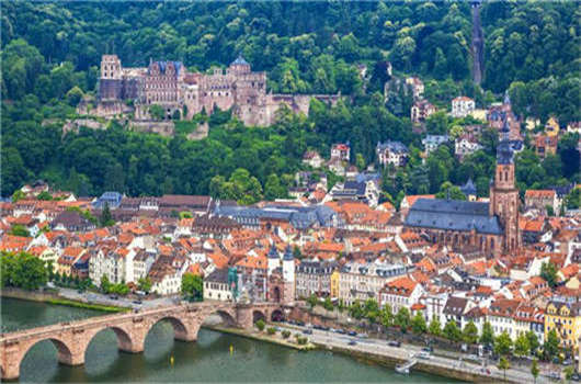 德國CDU漢堡介紹了公民選舉，每間公寓一棵樹