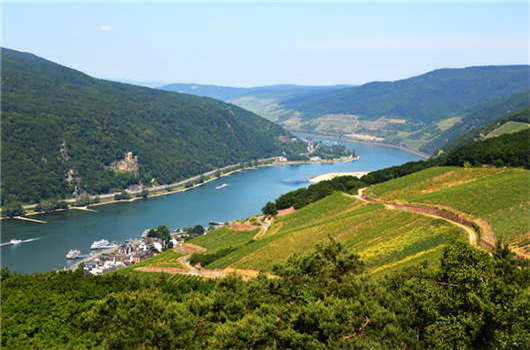 移民五個需要注意的問題