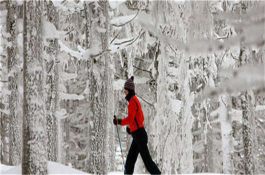 留學德國畢業(yè)難，解決這些您就可以成功！