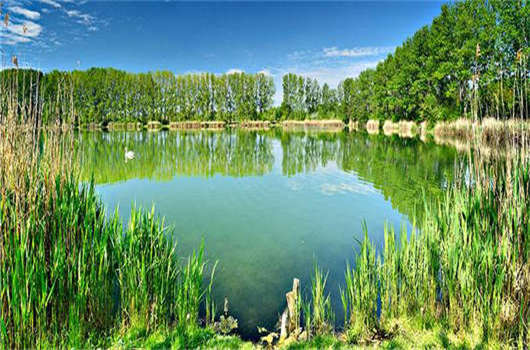 移民政策變化，未來這兩種人收益