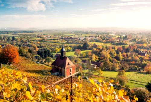 移民有哪些優(yōu)勢？如何移民？