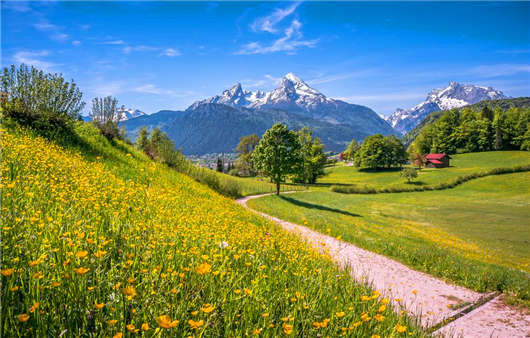 申請(qǐng)德國(guó)移民常見(jiàn)問(wèn)題解讀，解決您的移民疑惑！