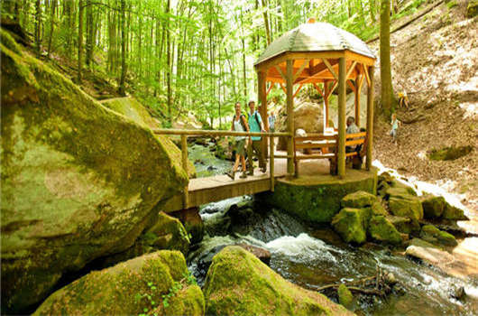 德國移民優(yōu)勢有哪些？各個(gè)項(xiàng)目對比介紹