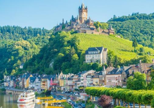 1641288462130872.jpg 1.jpg